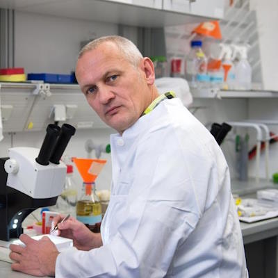 ������������ ������