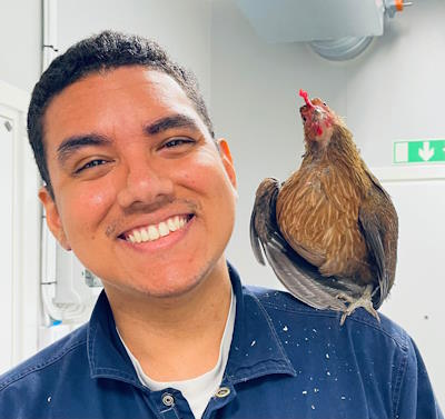 ����� �. �. �������� (Vitor H. B. Ferreira)