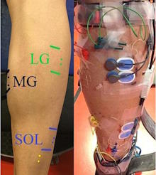 ���������� ������ �����������