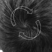 Влияние полушарий на формирование теменных оборотов волос
