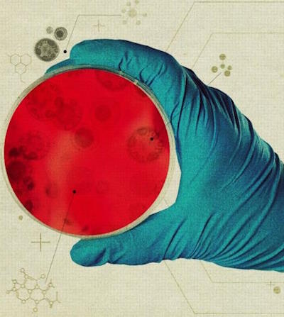 Что такое зеркальная жизнь? Учёные бьют тревогу Что такое зеркальная жизнь? Учёные бьют тревогу