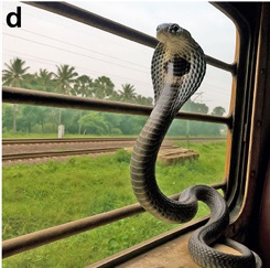 ���� � �������: �������� ������ � ����������� ����� � ���