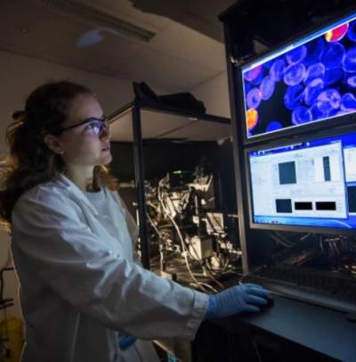  ..  (Julie M.J. Verhoef)