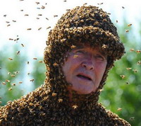 Первый в мире пчелиный пылесос